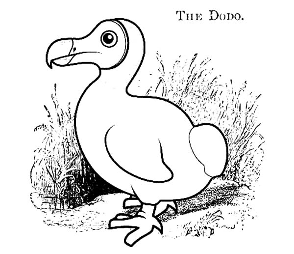 Dodo coloring #17, Download drawings
