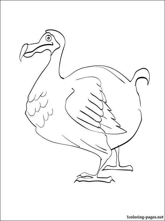 Dodo coloring #14, Download drawings