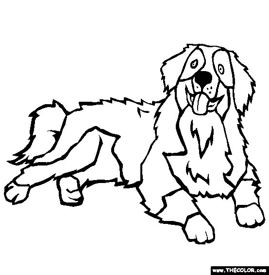 Bernese Mountain Dog coloring #2, Download drawings