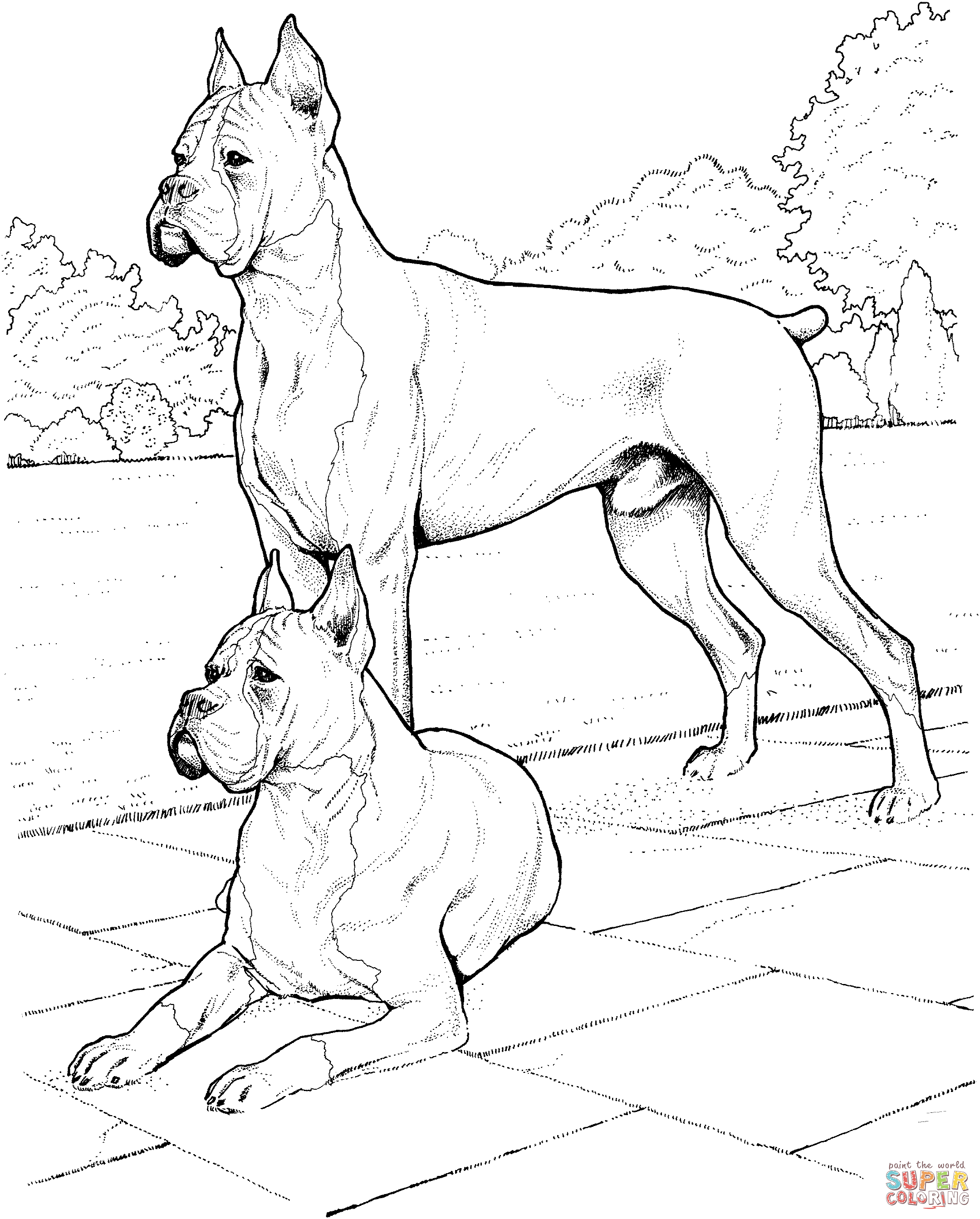Dog coloring #15, Download drawings