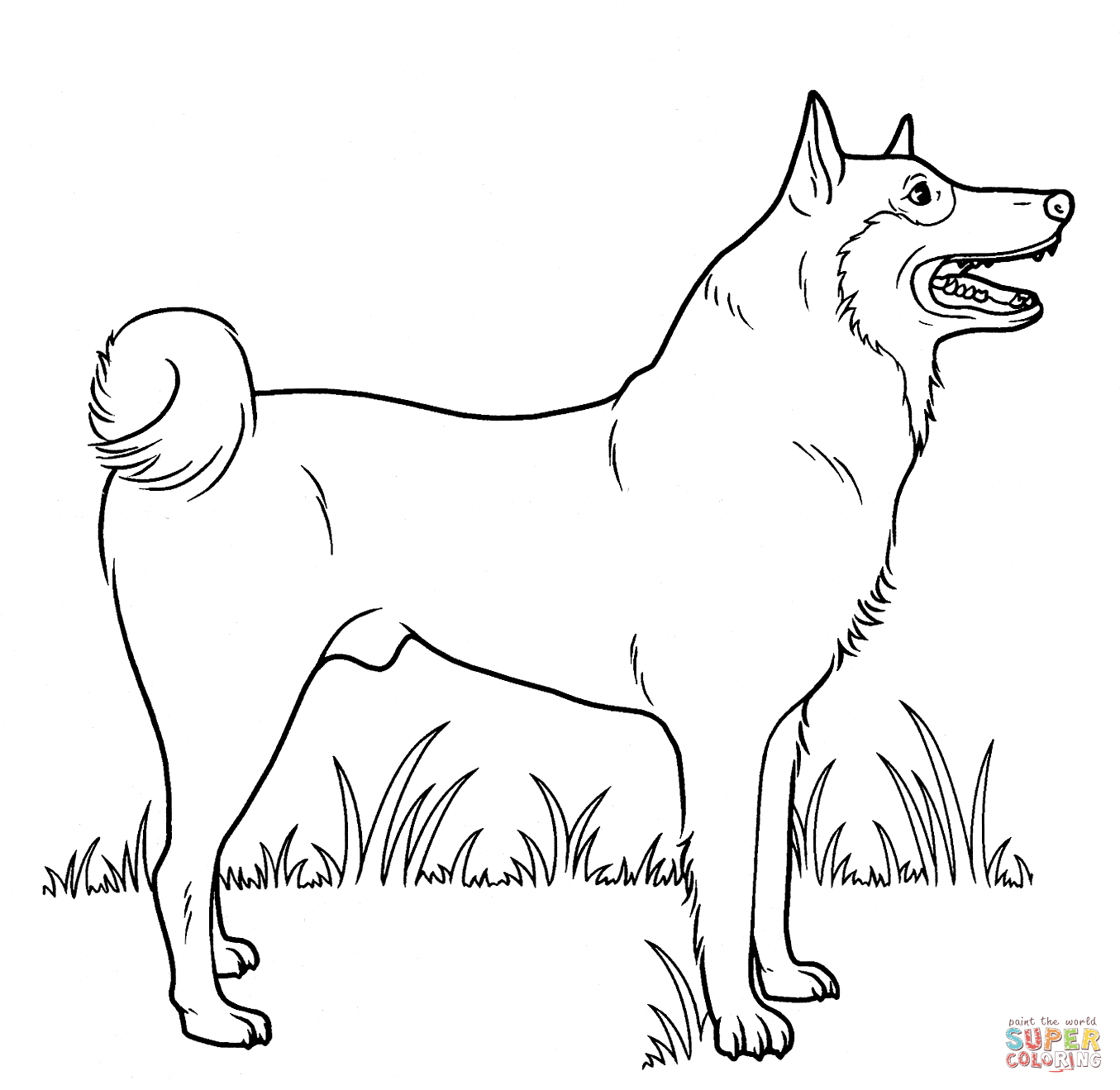 Canine coloring #4, Download drawings