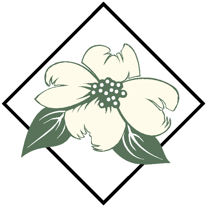 Dogwood clipart #7, Download drawings