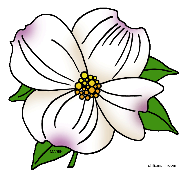Dogwood coloring #13, Download drawings