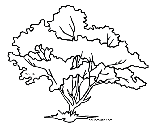 Dogwood coloring #2, Download drawings