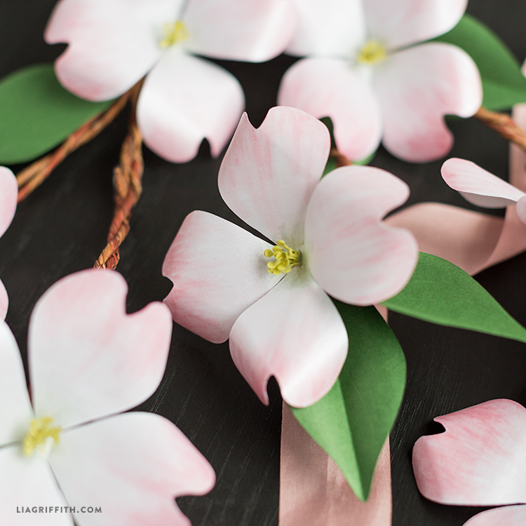 Dogwood svg #5, Download drawings
