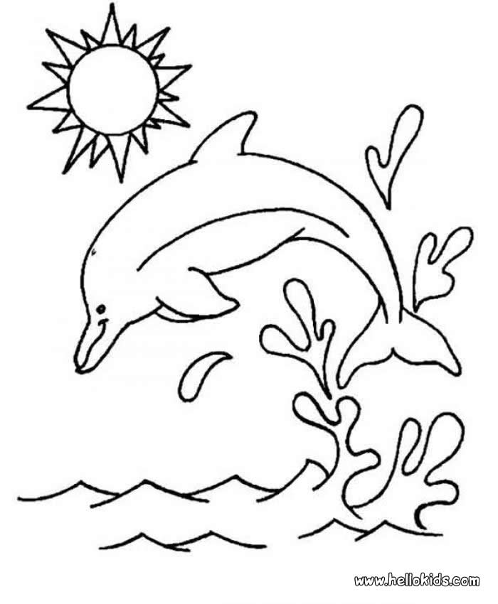 Dolphin coloring #1, Download drawings