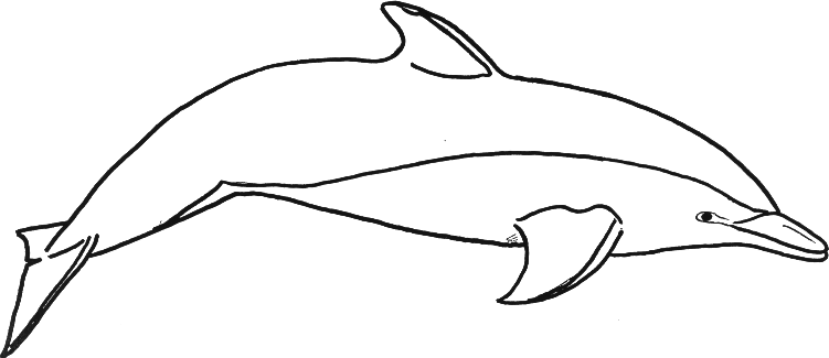 Dolphins coloring #8, Download drawings