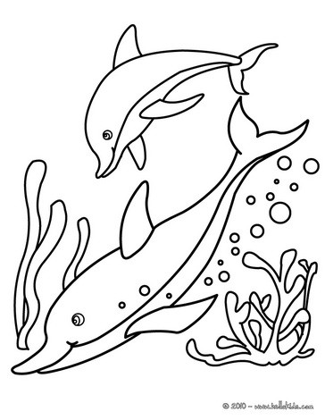 Dolphin coloring #11, Download drawings