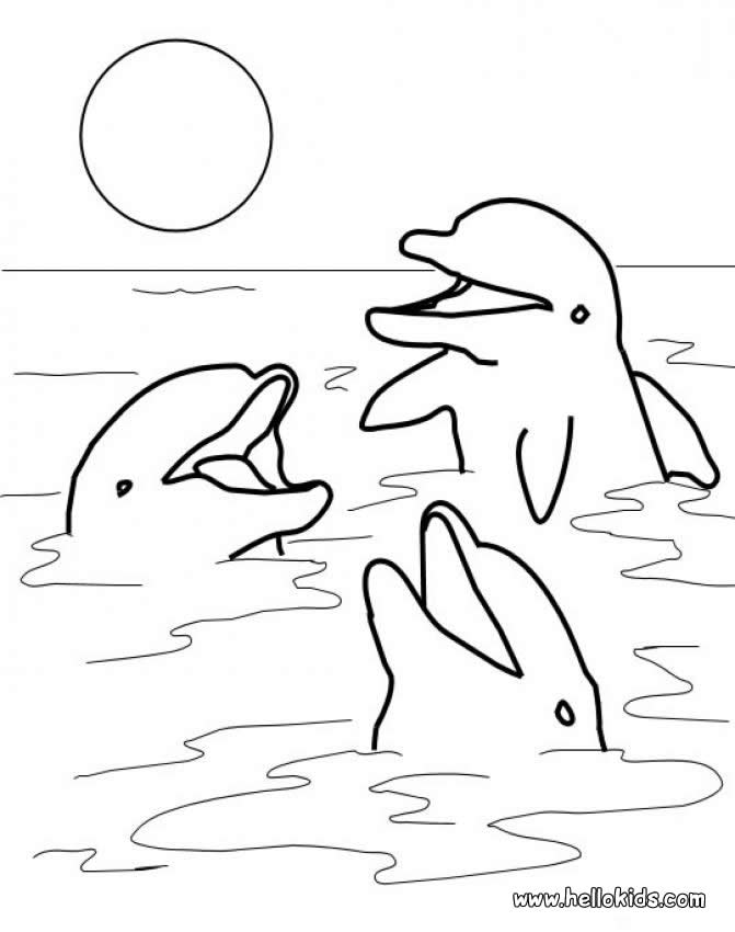 Dolphin coloring #16, Download drawings