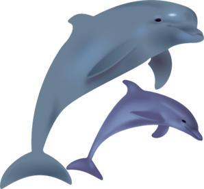 Dolphines clipart #7, Download drawings