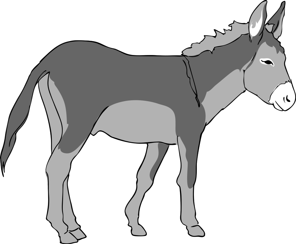 Donkey clipart #15, Download drawings