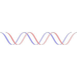 Double Helix svg #1, Download drawings