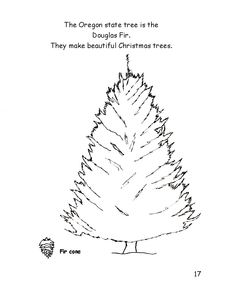 Douglas Fir Trees coloring #17, Download drawings