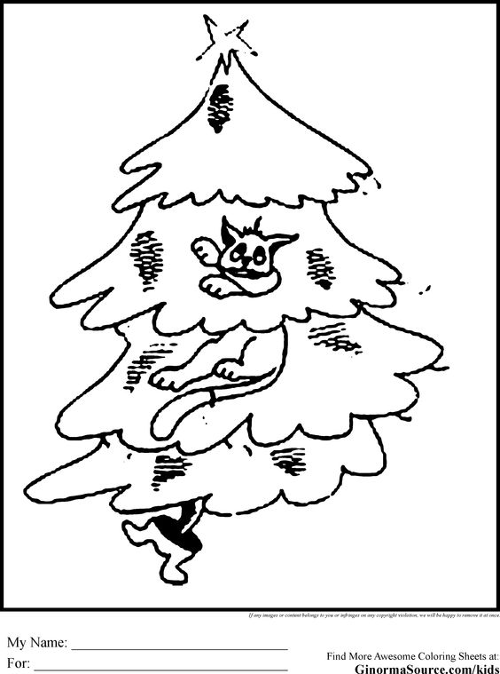 Douglas Fir Trees coloring #5, Download drawings