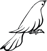 Dove coloring #6, Download drawings