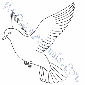 Dove coloring #1, Download drawings