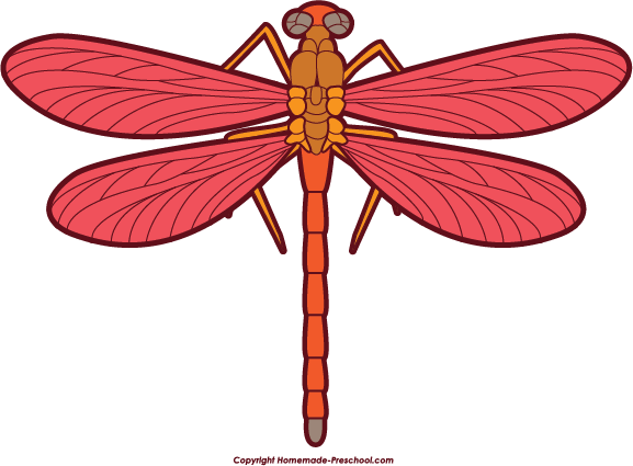 Dragonfly clipart #6, Download drawings