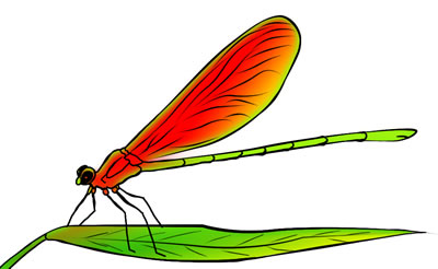 Dragonfly clipart #19, Download drawings
