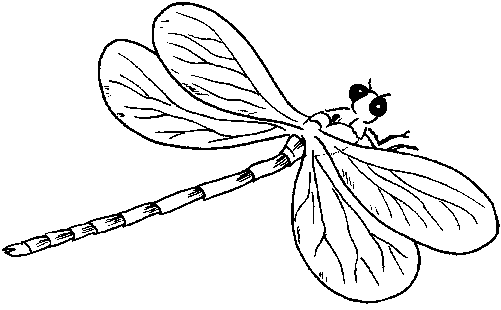 Dragonfly coloring #20, Download drawings
