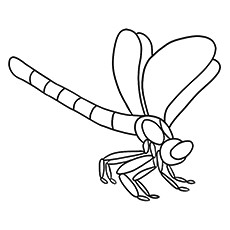 Dragonfly coloring #10, Download drawings