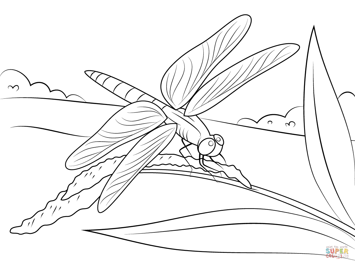 Dragonfly coloring #7, Download drawings