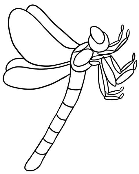 Dragonfly coloring #15, Download drawings
