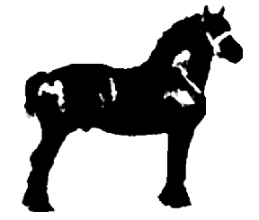 Draught Horse clipart #13, Download drawings