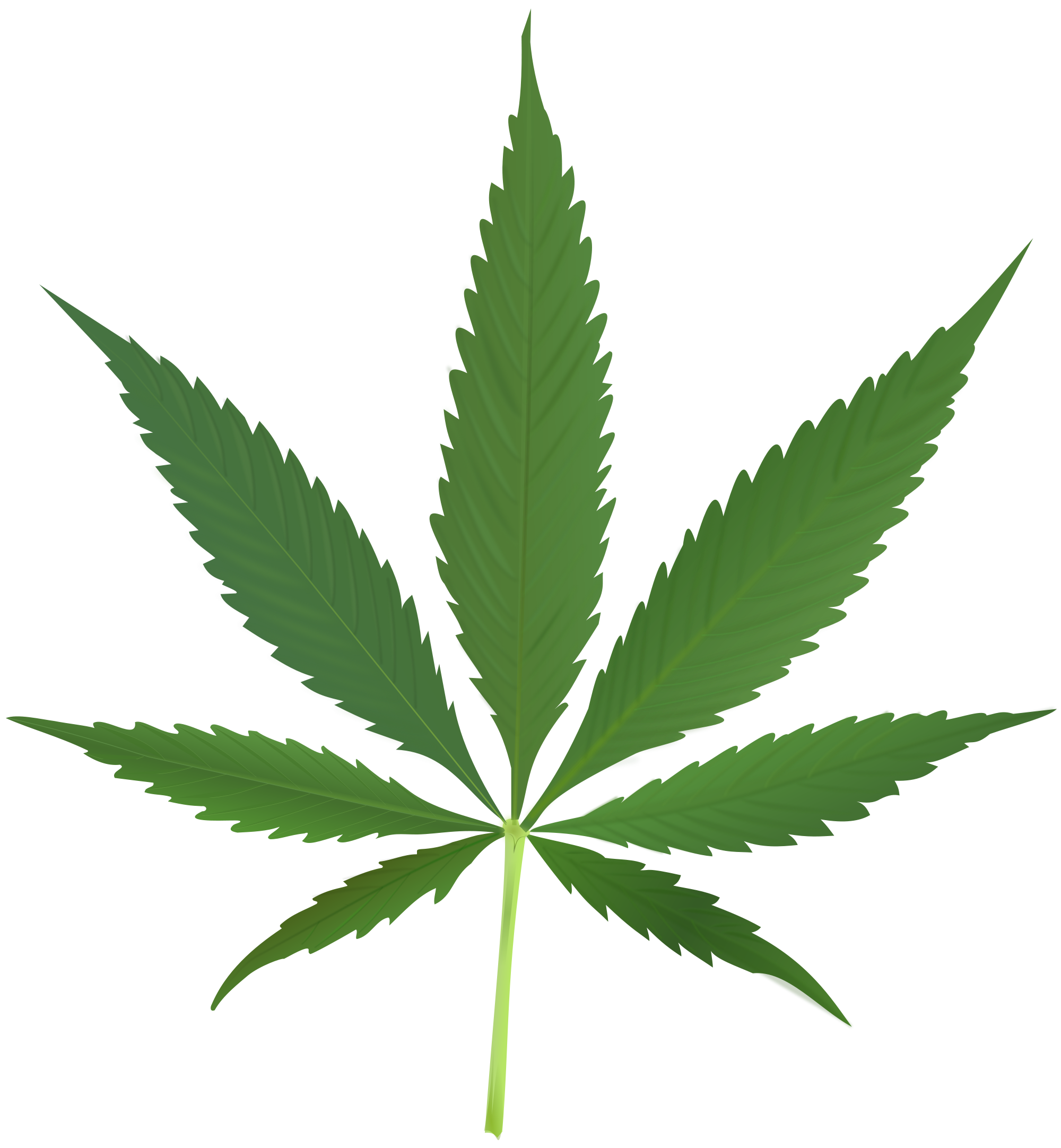 Pot Plant svg #15, Download drawings