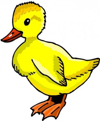 Duck clipart #3, Download drawings