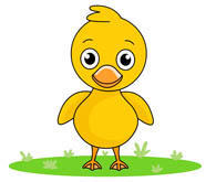 Duck clipart #7, Download drawings