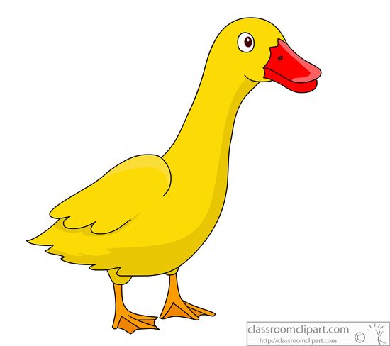 Duck clipart #19, Download drawings