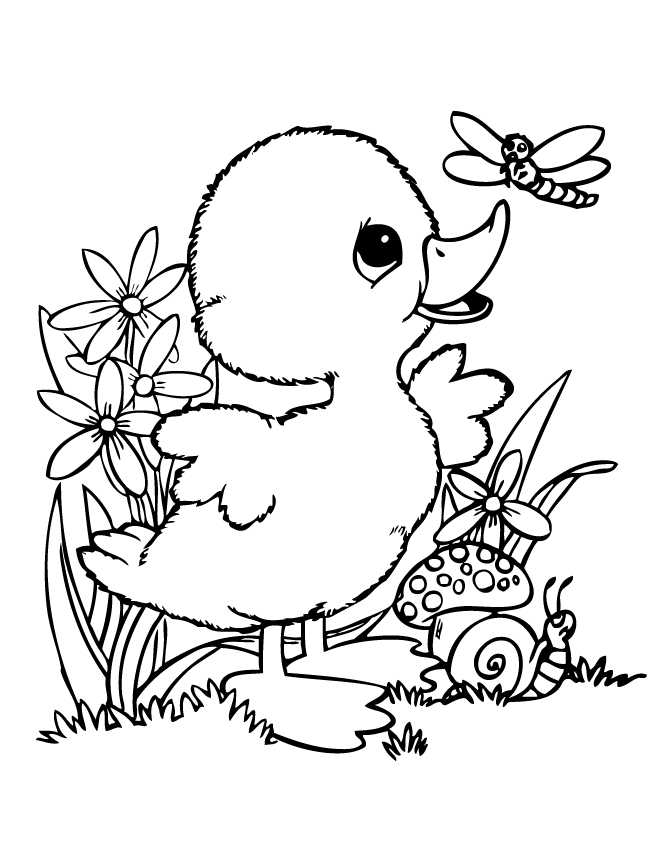 Duck coloring #10, Download drawings