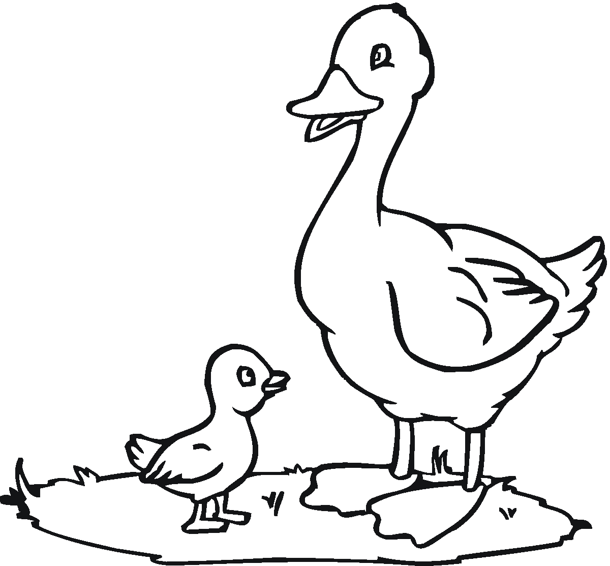 Duck coloring #19, Download drawings