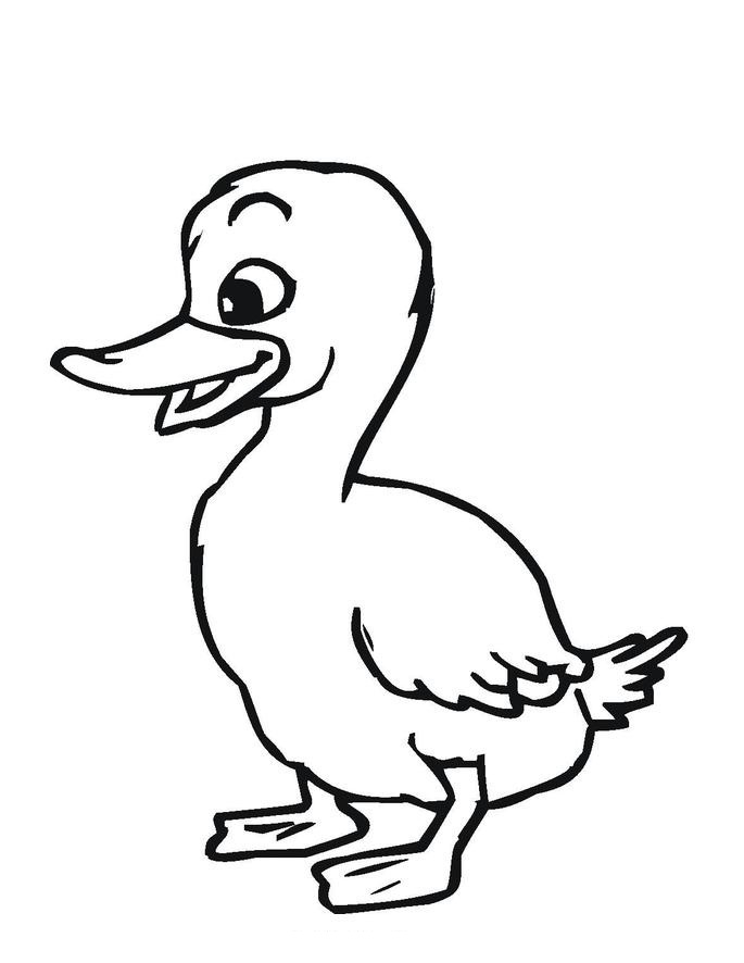 Duck coloring #18, Download drawings