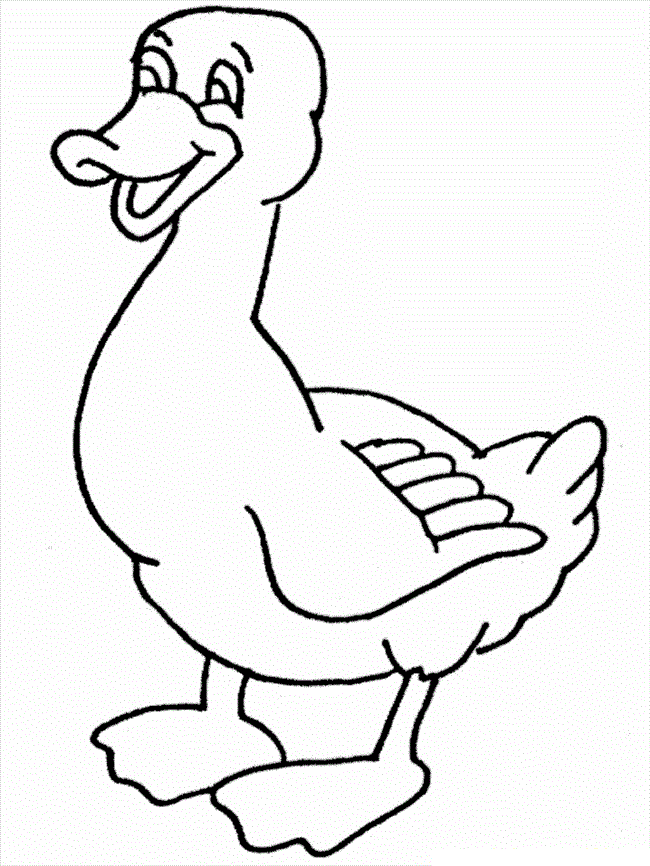 Duck coloring #17, Download drawings