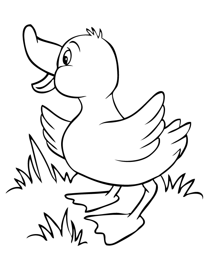 Duckling coloring #11, Download drawings