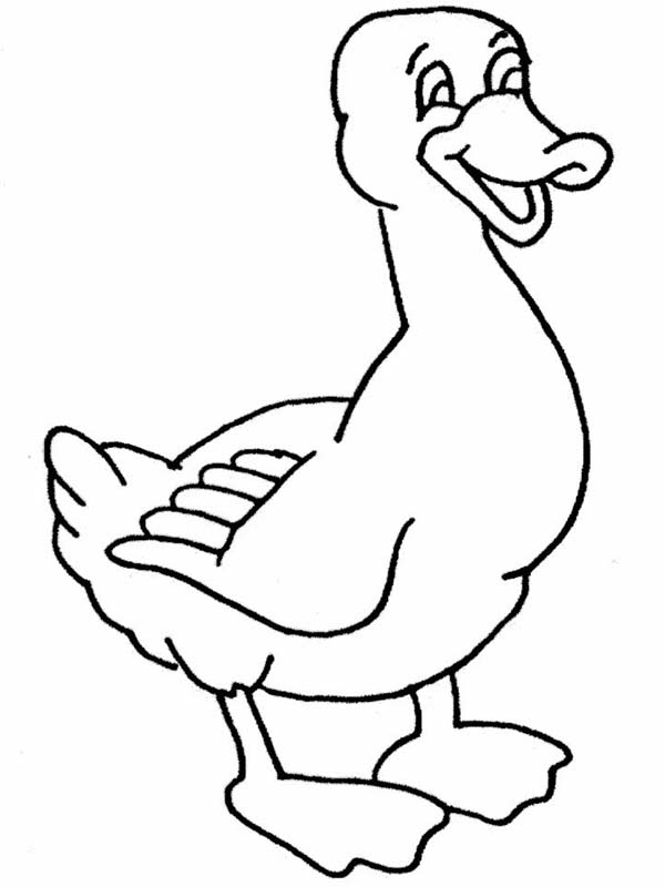 Duckling coloring #8, Download drawings