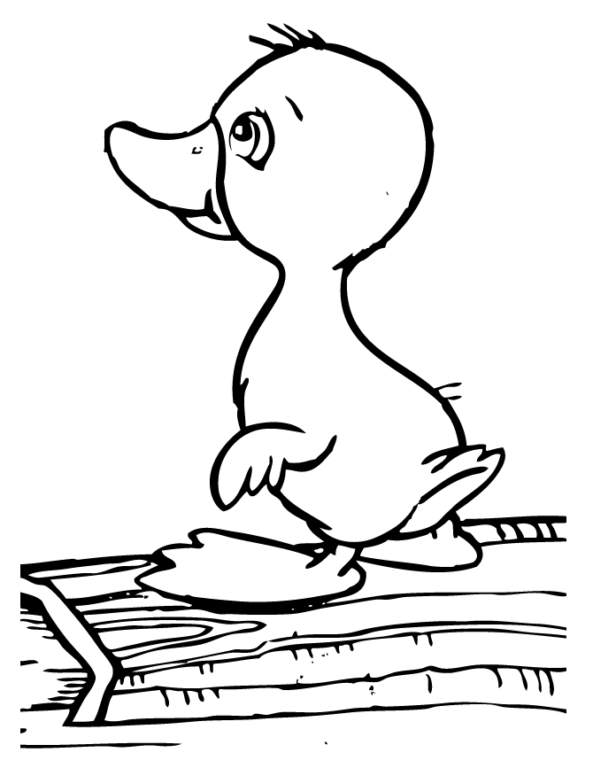 Duckling coloring #10, Download drawings