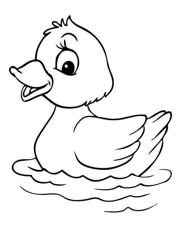 Duckling coloring #3, Download drawings