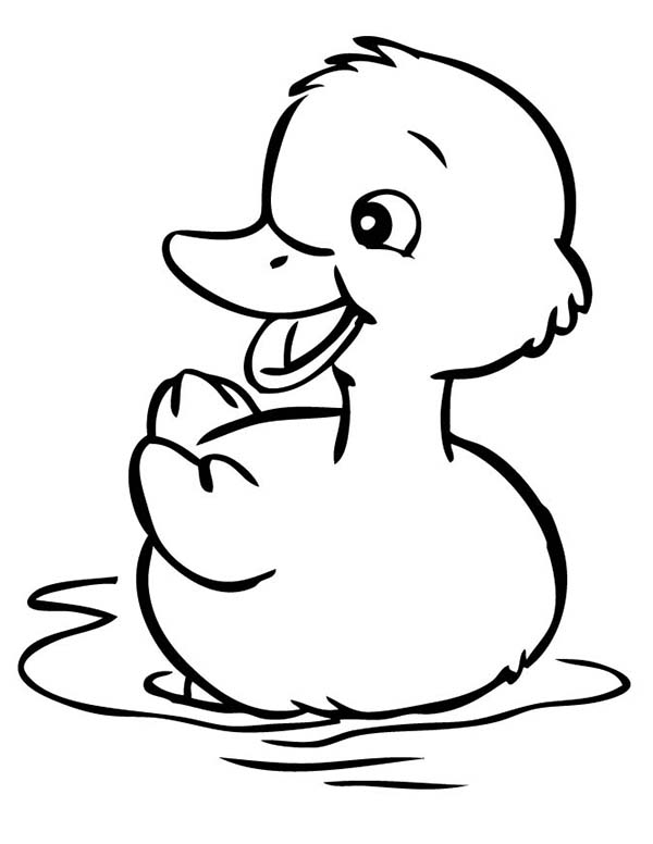Duckling coloring #5, Download drawings