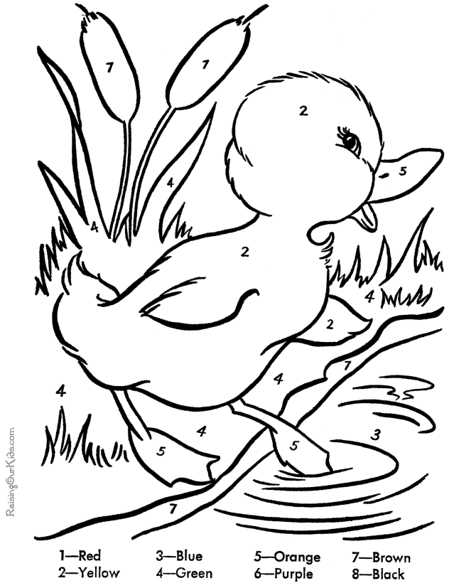 Duckling coloring #19, Download drawings