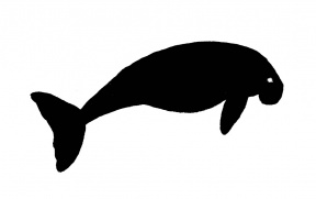 Dugong clipart #5, Download drawings