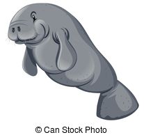 Dugong clipart #16, Download drawings