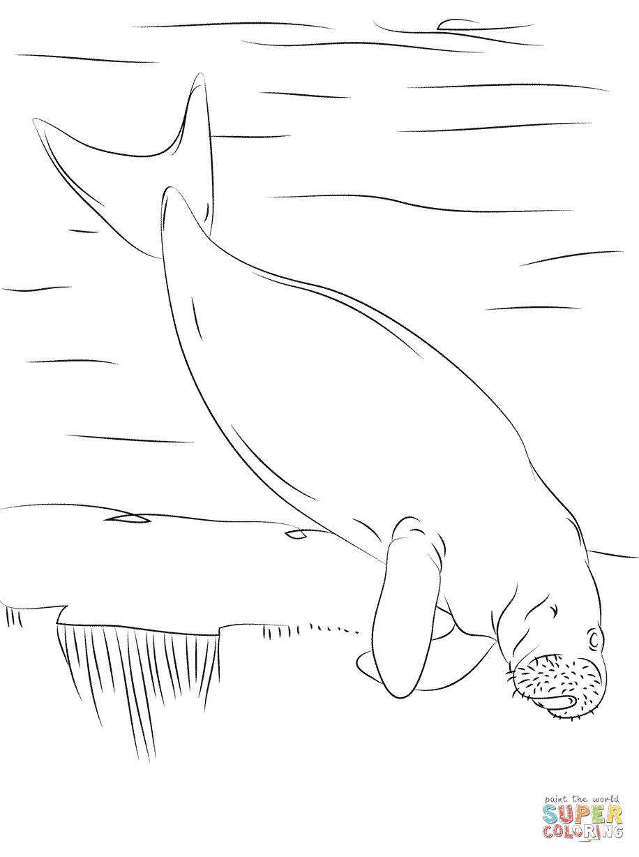 Dugong coloring #10, Download drawings