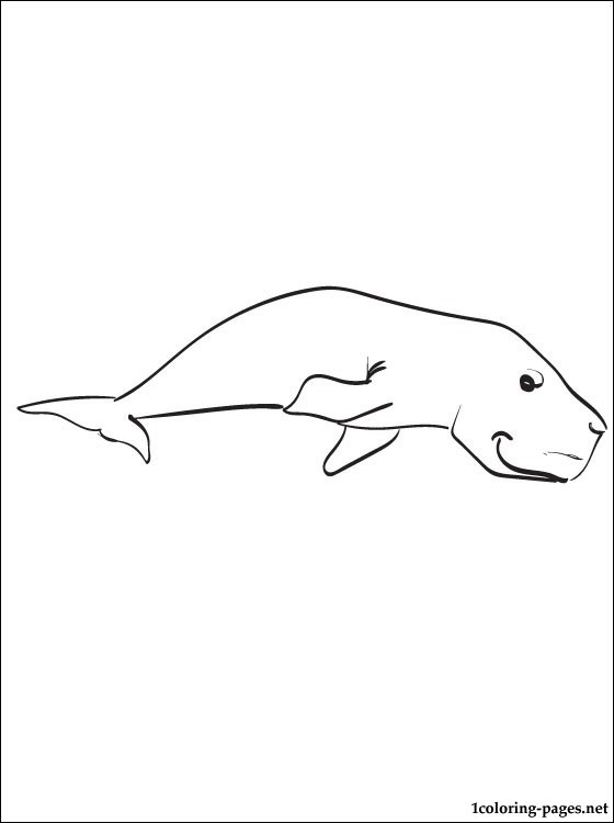Dugong coloring #4, Download drawings