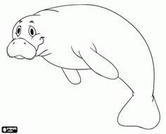 Dugong coloring #13, Download drawings