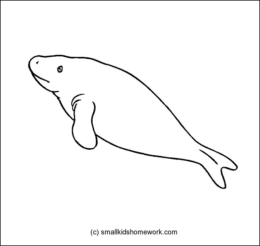 Dugong coloring #20, Download drawings