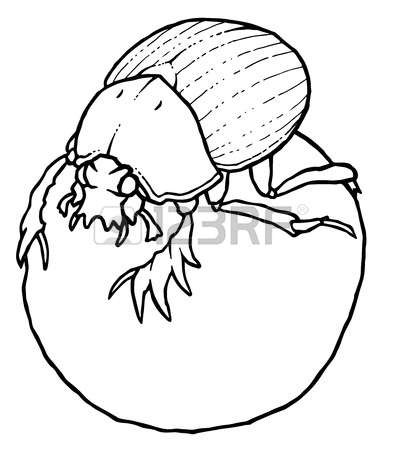 Dung Beetle clipart #10, Download drawings