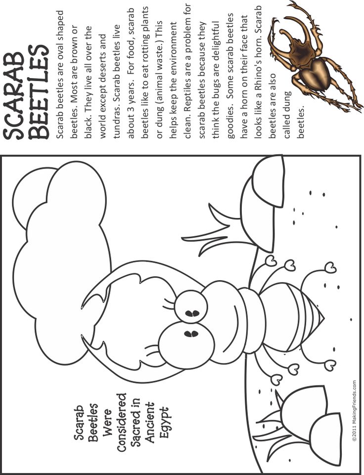 Dung Beetle coloring #1, Download drawings
