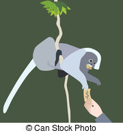 Dusky Leaf Monkey clipart #15, Download drawings